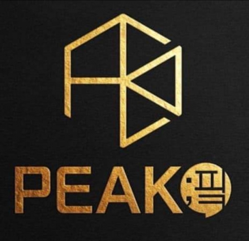 호빠 호스트바 선수알바 남보도 웨이터구인구직 - PEAK 핔