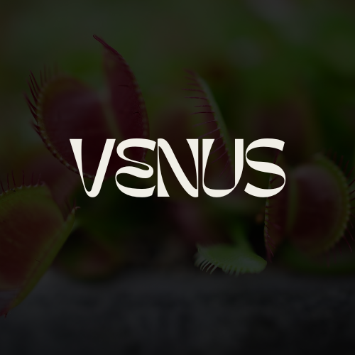 호빠 호스트바 선수알바 남보도 웨이터구인구직 - 비너스