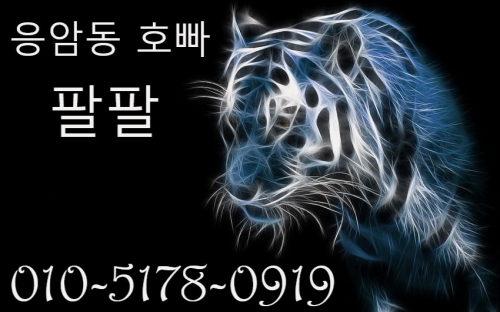 호빠 호스트바 선수알바 남보도 웨이터구인구직 - 귀빈노래바