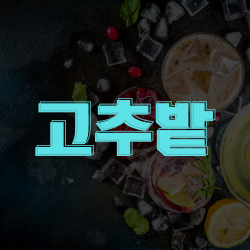 강북 수유 호빠 여성 전용 호스트 바 클럽 - 이름 그대로 여기는 고추밭