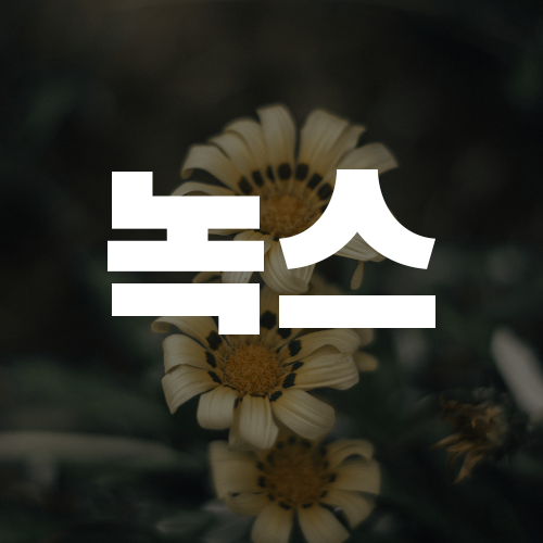 청주 흥덕 복대 호빠 여성 전용 호스트 바 클럽 - 여왕으로 모시겠습니다.